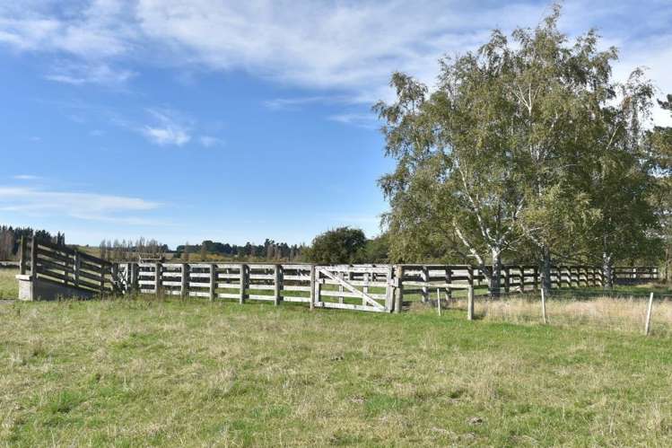 1588 Birch Hill Road Glentui_14