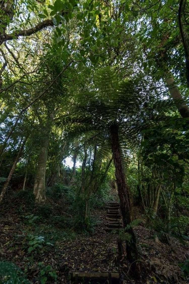 173 Okere Road Okere Falls_4