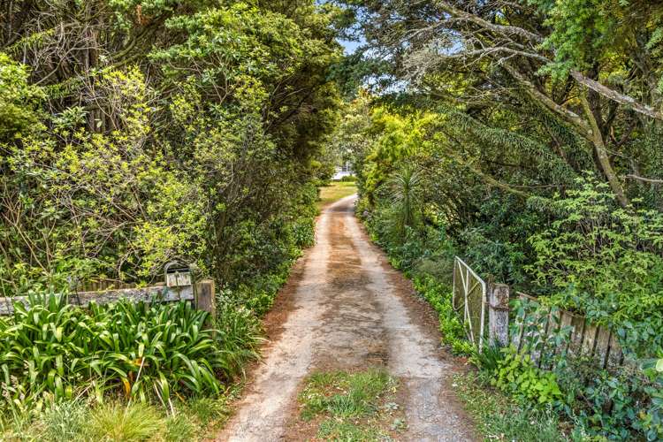 565 Birch Road East Dannevirke_7