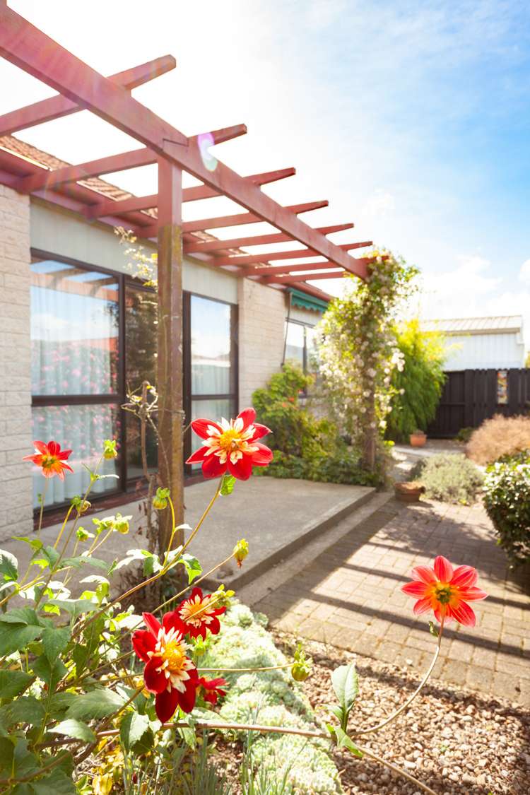 11a Raupo Place Matamata_21