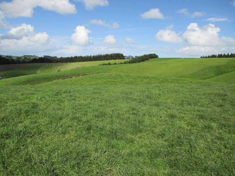 222 Morgan Road Clinton and Surrounds_8