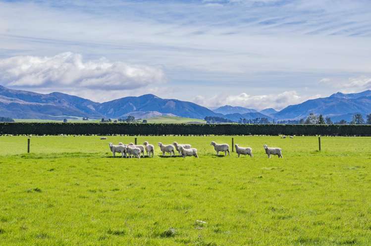 677 Pig Saddle Road Sheffield_6