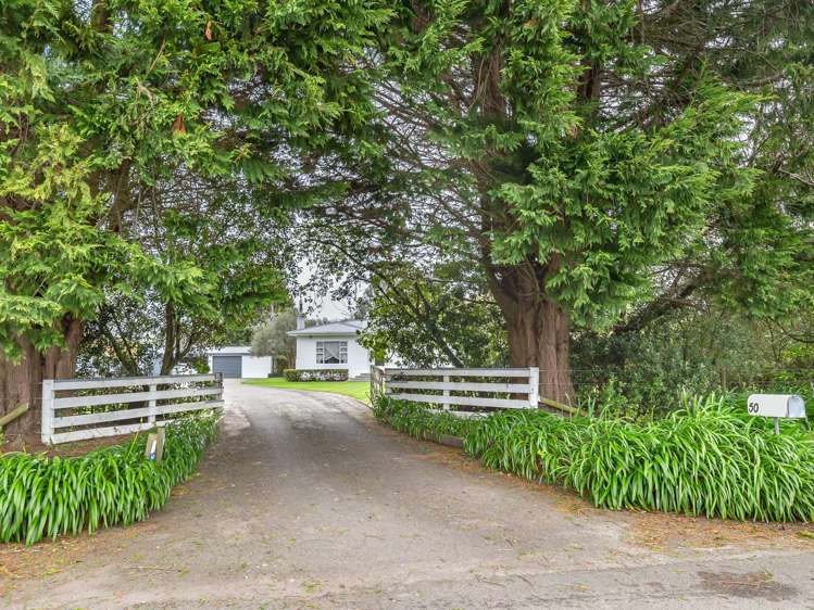 50 Painua Road Hokio Beach_15