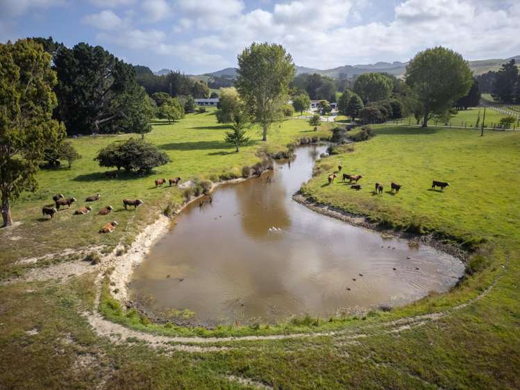 121 Joyce Road Hampden_6