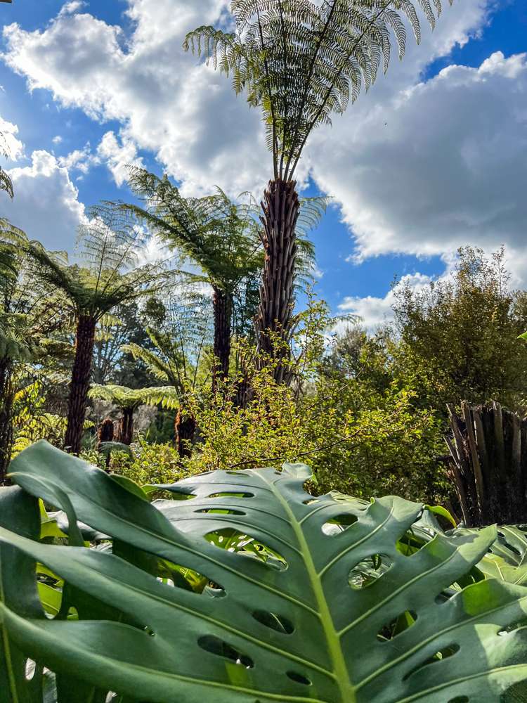 52 Mission Road Kerikeri_17