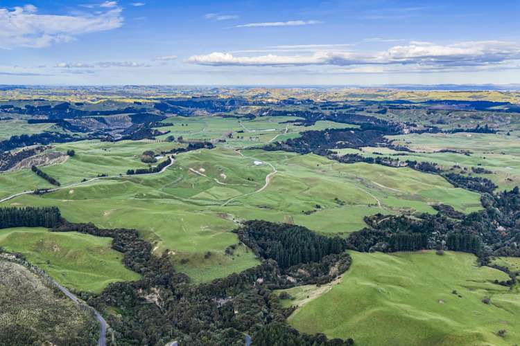 500 Willowford Road Waiwhare_16