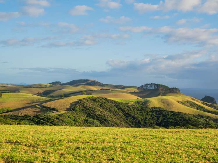 Address withheld Kerikeri_5