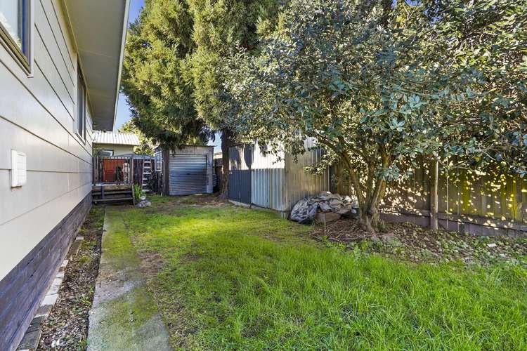 25B Dominion Road_3