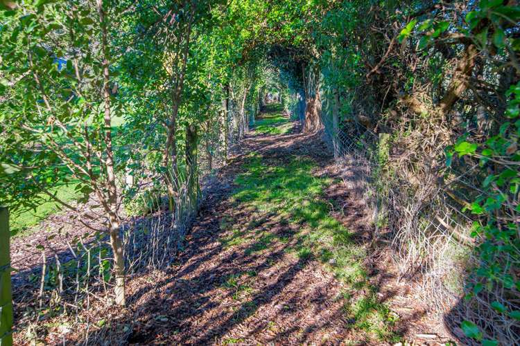 138 Paetawa Road Peka Peka_18