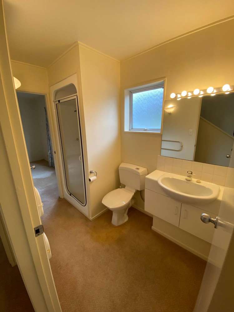 45b Atkin Avenue Mission Bay_12