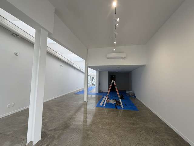 59 Mackelvie Street Ponsonby_2