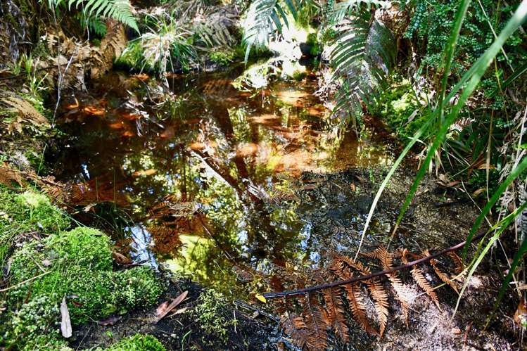Lot 8 Sunset Heights Road Karamea_9