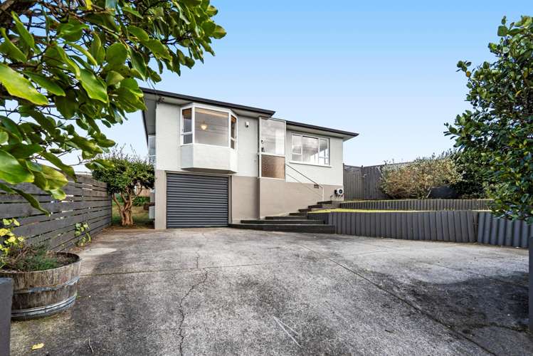228 Carrington Street Vogeltown_3