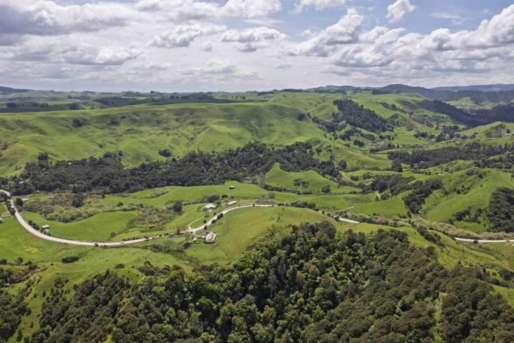 Te Papatapu Road Raglan_18