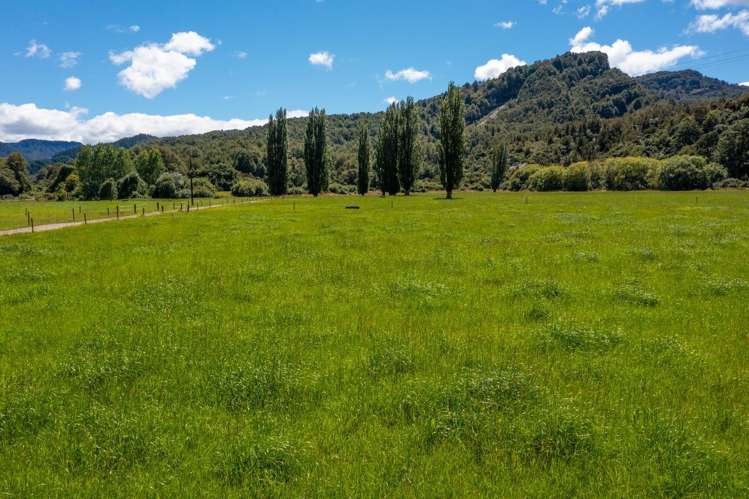 1153 Shenandoah Highway Murchison_15