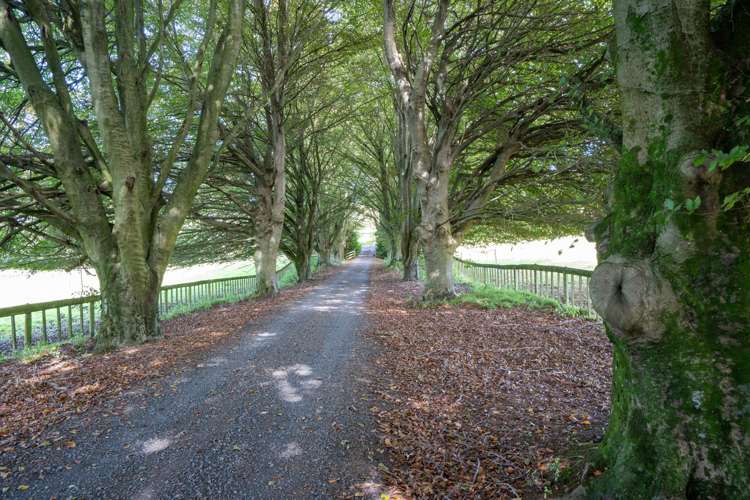 2291 Maungatautari Road Cambridge Waipa Rural Property For Sale