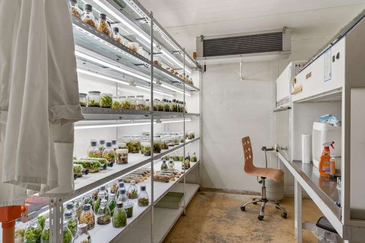 694 Mangakahia Road Poroti_9