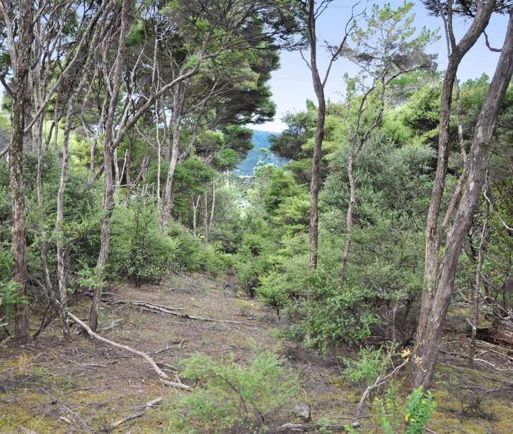 6 Lavinia Place Kawau Island_5