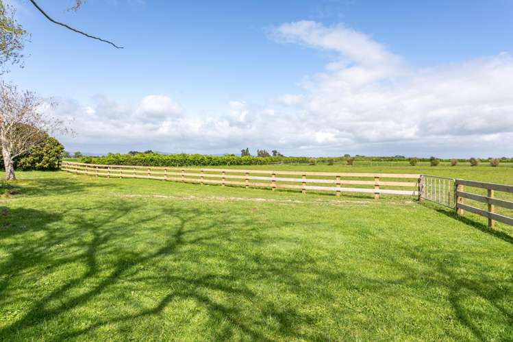 453 Waghorn Road Matamata_15