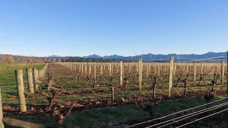 816 Waihopai Valley Road Waihopai Valley_6