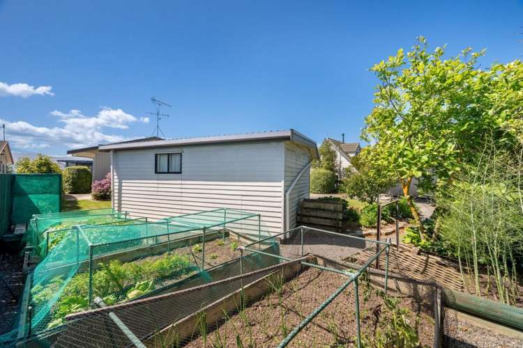 3 Wilson Street Renwick_33