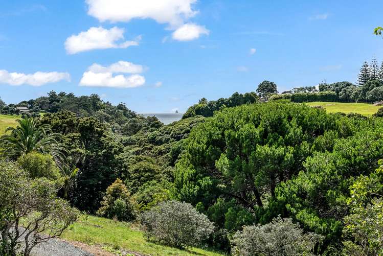 Lot 2 & 3 Landowners Lane Tutukaka_7