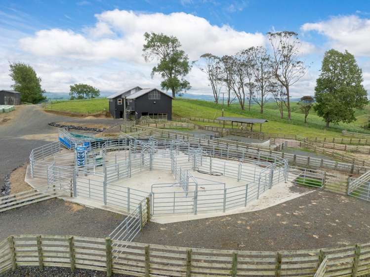 196 Waimanu Road Pukeatua_7