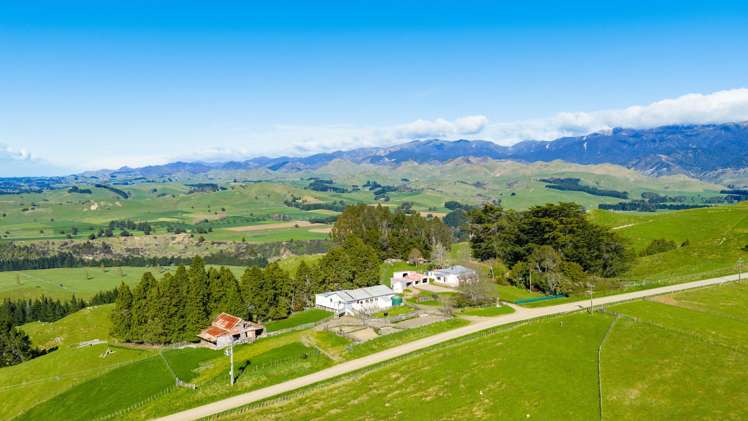 1139 Blackburn Road Ongaonga_20