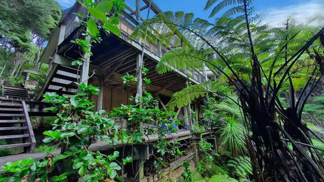 46 Schoolhouse Bay Road Kawau Island_3