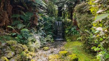 442 Te Waerenga Road_2