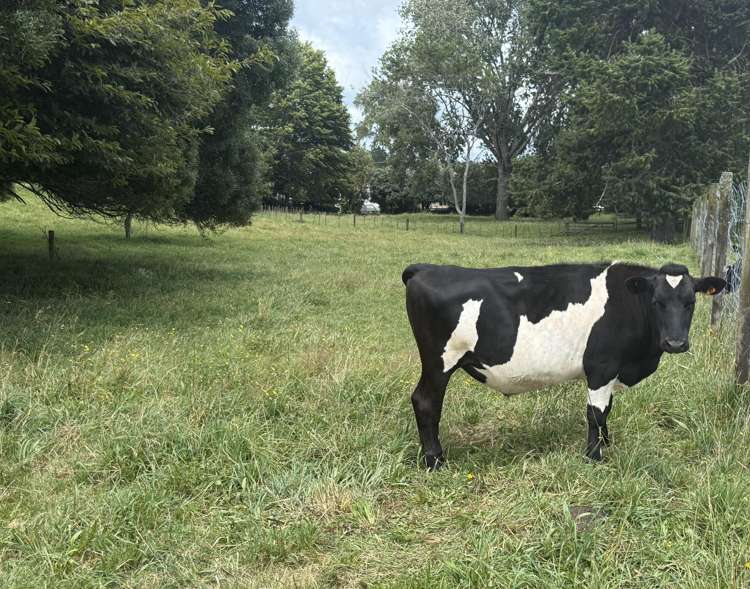 15 Scott Road Putaruru_22