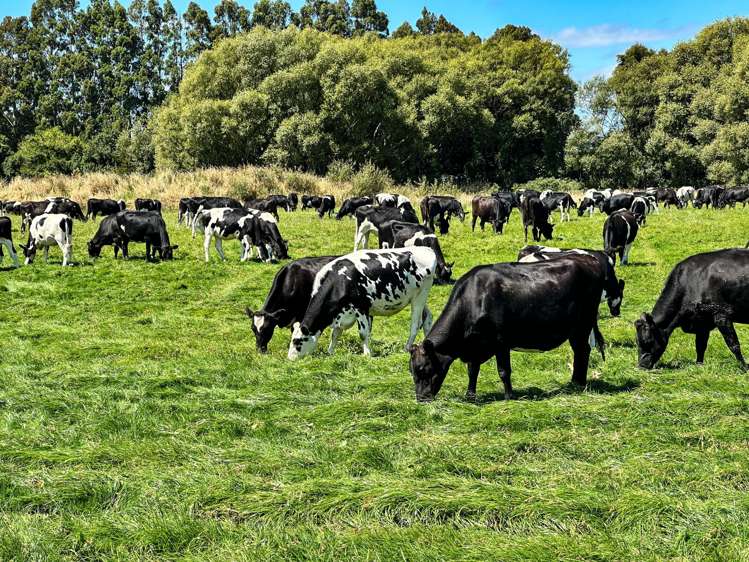 2390 Dipton Winton Highway Winton_7