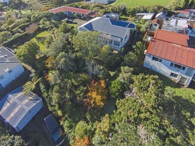 48 Helston Road Johnsonville_1