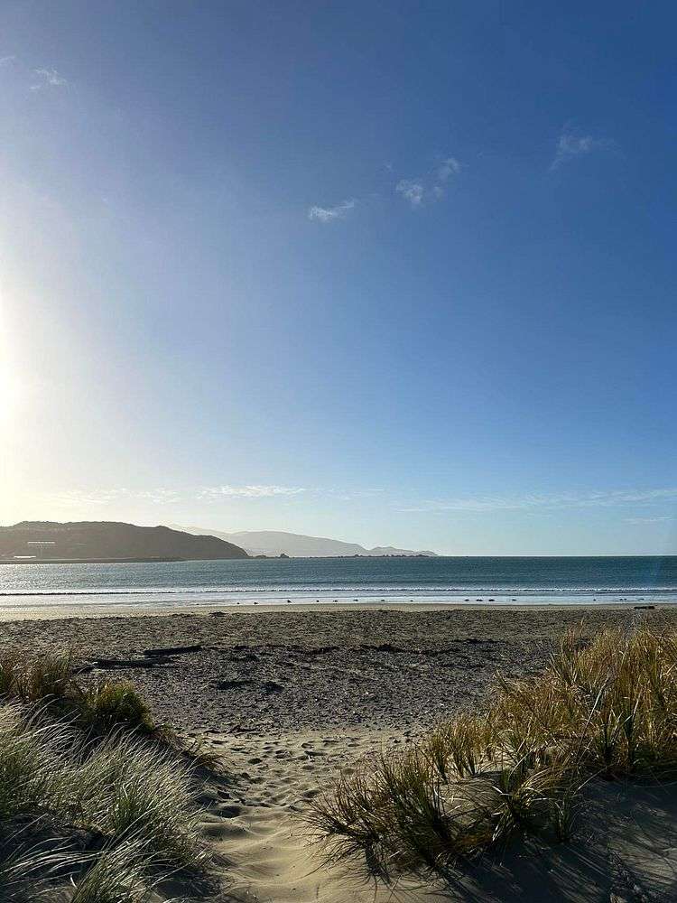 12/166 Queens Drive Lyall Bay_15