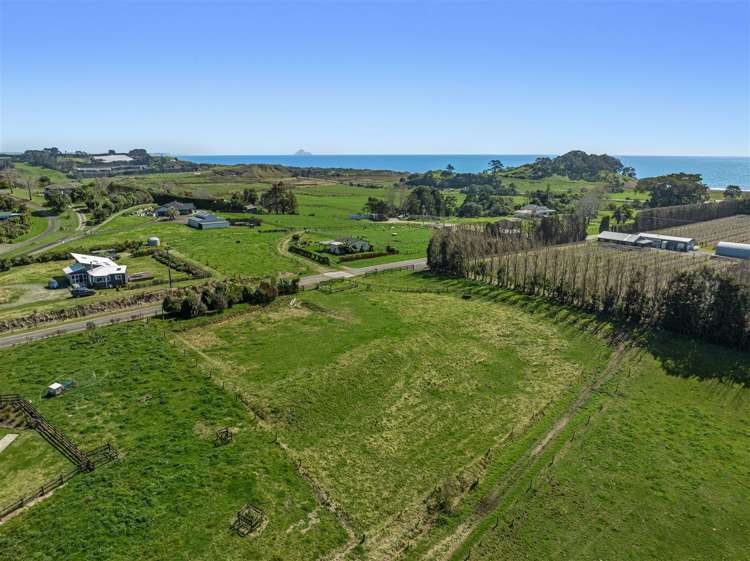 61 Tirohanga Road Opotiki_4