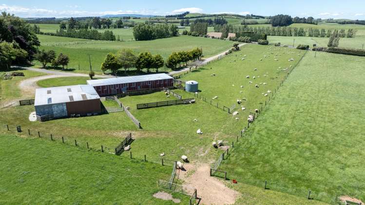 23 Waikaka Valley Highway Mcnab_5