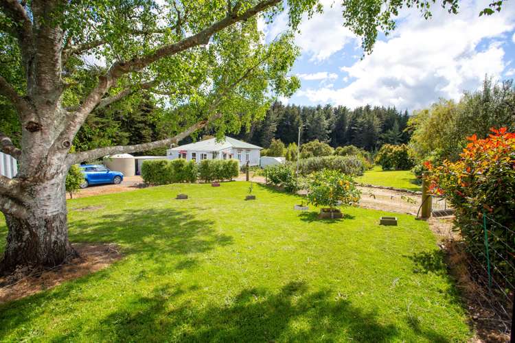 2669 State Highway 4 Mangamahu_16