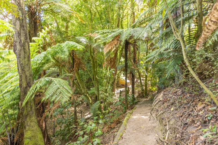 76 Morrinsville Road Hillcrest_31