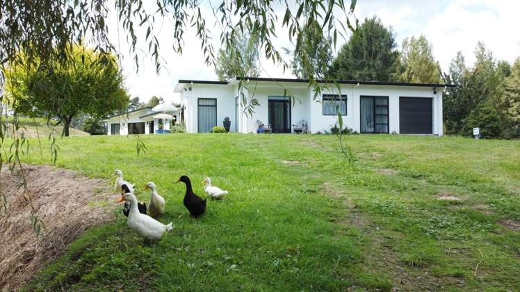 363 Roydon Downs Road Paengaroa_24