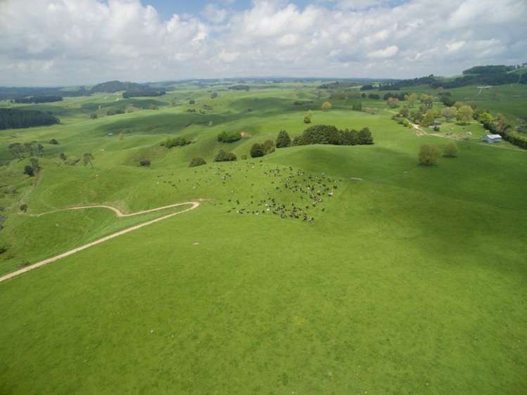 438 Waotu South Road Putaruru_18