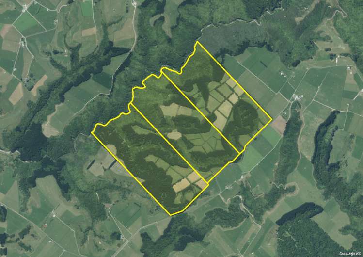 709 Ingahape Road Ohangai_34