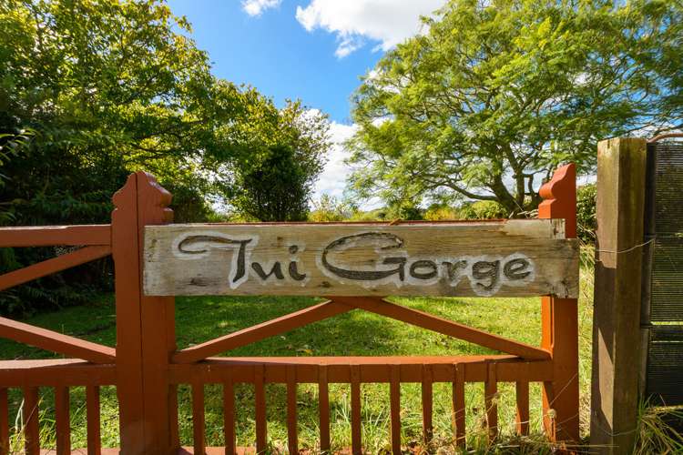 45 Oropi Gorge Road Pyes Pa_17