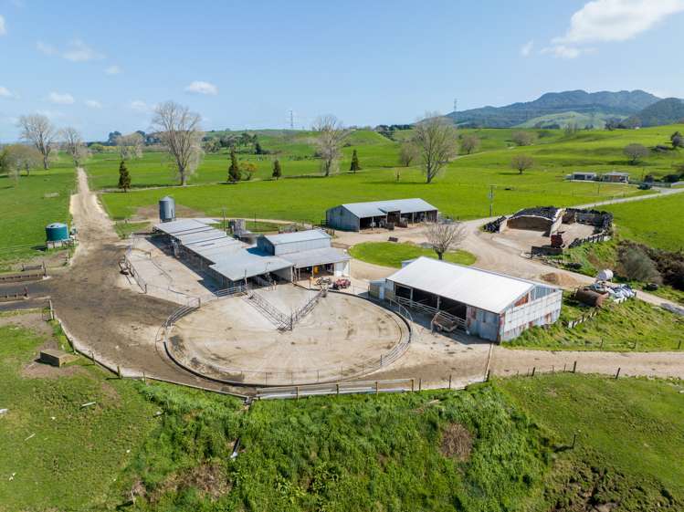 777 Oreipunga Road Cambridge_7