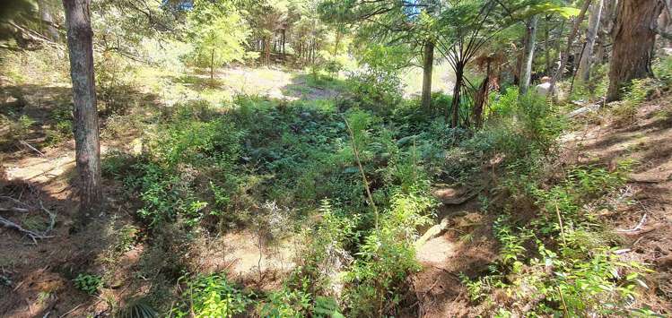 581 Valley Road Kaiwaka_9