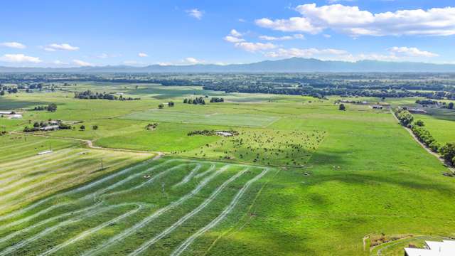 325 Taukoro Road Morrinsville_1