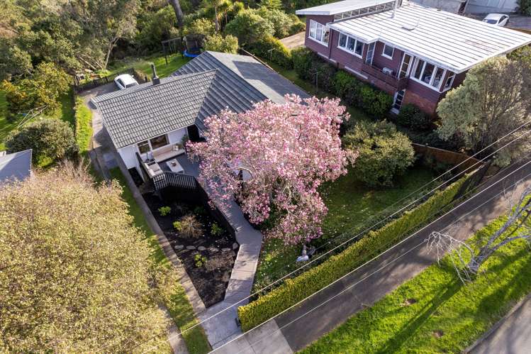 15 Apirana Avenue Glen Innes_13