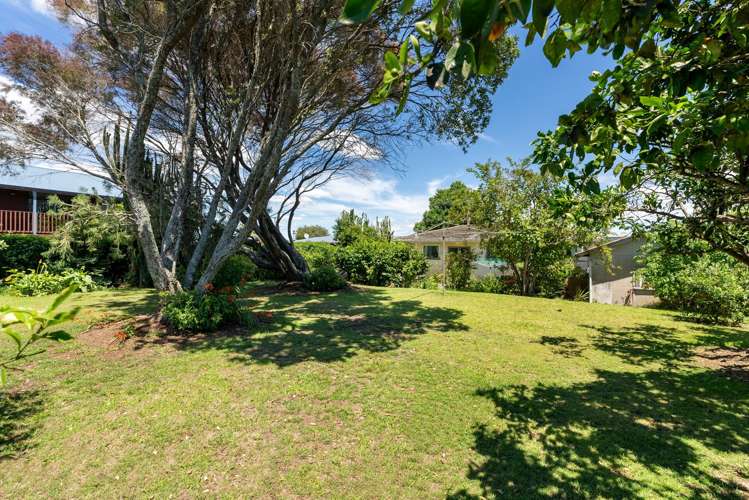 13 Links Avenue Mount Maunganui_15