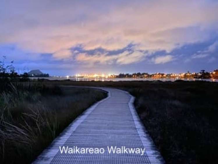 23 Goods Road Otumoetai_24