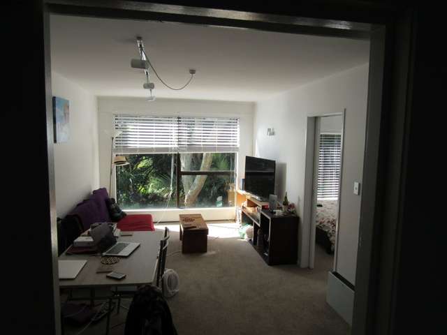 2/26 Scarborough Terrace Parnell_3