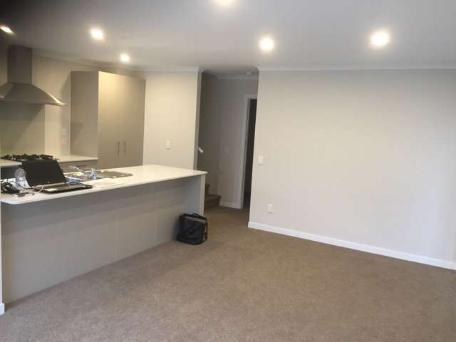 39 Arrowsmith Drive Flat Bush_2